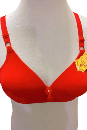 Ladies bra